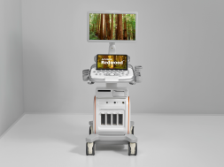 ACUSON Redwood 超声诊断系统 